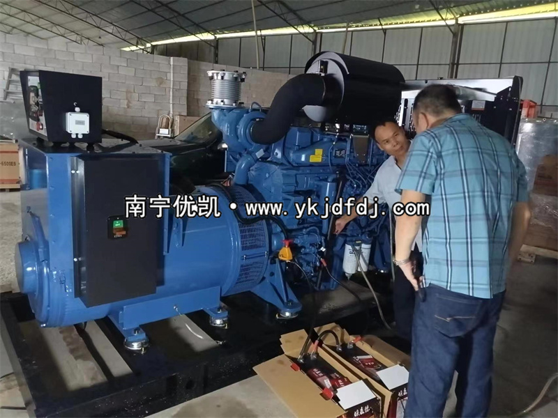 2023年6月27日，越南項目出口500kw玉柴發電機組并試機