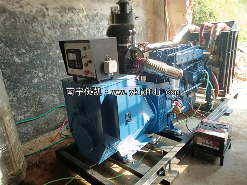 2024年3月5日，200kw濰坊雷納發(fā)電機(jī)組某學(xué)校到貨安裝