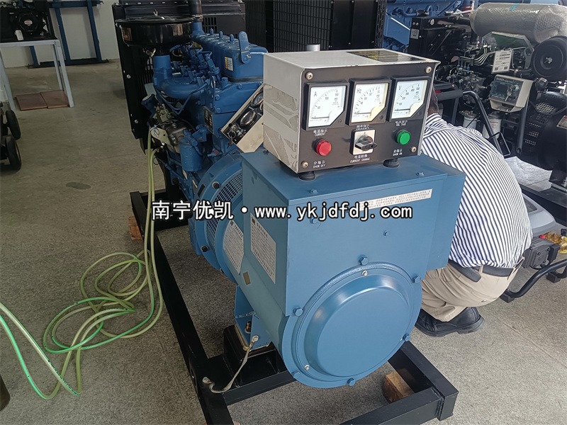 2024年11月6日，客戶到店自提30kw濰坊柴油發電機組